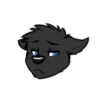 Blackdog 18