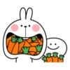 Spoiled Rabbit Smile Person Carrot 28