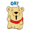 Bear 24