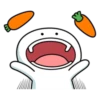 Spoiled Rabbit Smile Person Carrot 29