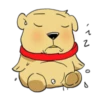 Bear 25