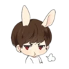 Bunny JK 5