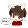 Bunny JK 6