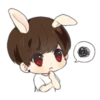 Bunny JK 7