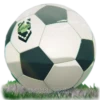 A bola