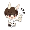 Bunny JK 9