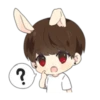 Bunny JK 11
