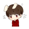 Bunny JK 13