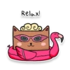 Square Cats 8