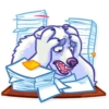 Polar Bear 9