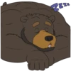 ZZZZ