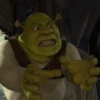 Shrek Is Love Shrek Is Life 12