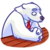 Polar Bear 13