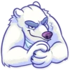 Polar Bear 14