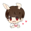 Bunny JK 17