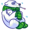 Polar Bear 15