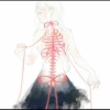 Anime Mix 15