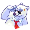 Polar Bear 16