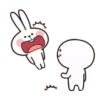 Rabbit 14