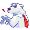 Polar Bear 17