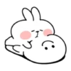 spoiled rabbit smile person 10 17