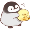Soft and Cute Chicks 17