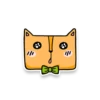 Square Cats 21