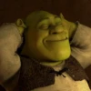 Shrek Is Love Shrek Is Life 15