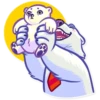 Polar Bear 19