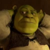 Shrek Is Love Shrek Is Life 17