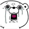 BEARNCOSTA 20