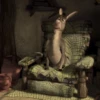 Shrek Is Love Shrek Is Life 19