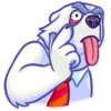 Polar Bear 21