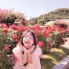 SUJI 25