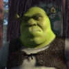 Shrek Is Love Shrek Is Life 22