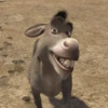 Shrek Is Love Shrek Is Life 23