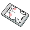 Rabbit 24