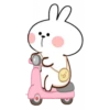 Rabbit 26