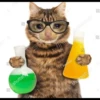 PotoYakov
FotoVako
shutterstock
Foto Yakov
shutterstock