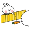Spoiled Rabbit 30