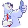Polar Bear 24