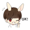 Bunny JK 26