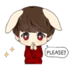 Bunny JK 27