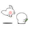 spoiled rabbit smile person 10 30