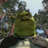Shrek Is Love Shrek Is Life 26