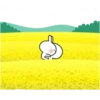 Rabbit 28