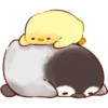 Soft and Cute Chicks 30