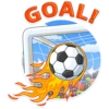 Football Fan 29
