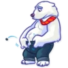 Polar Bear 30
