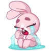 Rosy Bunny 6